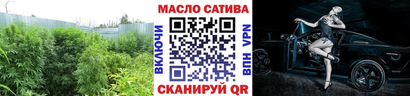 Купить где  Камышлов  Дистиллят ТГК гашишное масло 