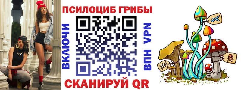Купить где  Камышлов  Псилоцибиновые грибы прущие грибы 